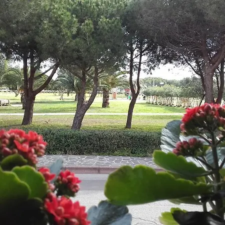 Historia Magistra SantʼAntìoco